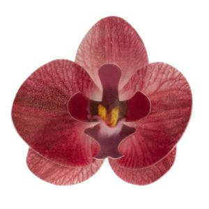 Květy z jedlého papíru orchidej růžová 10ks - Dekora