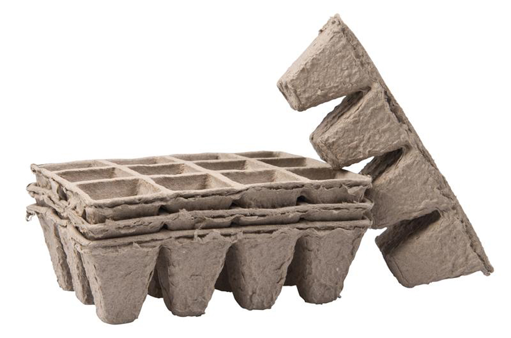 Sadbovač